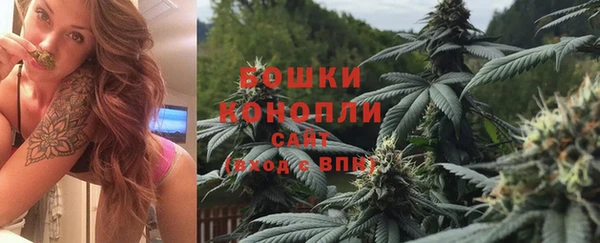 трава Дмитриев
