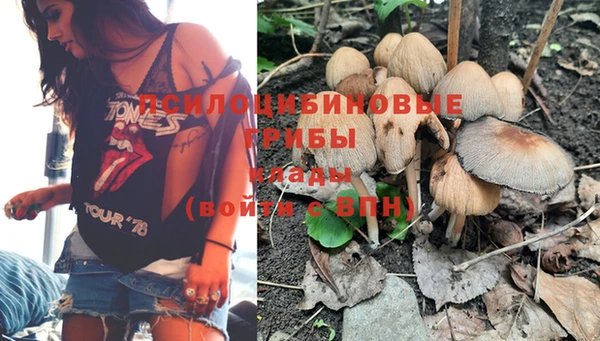 гашишное масло Дмитровск