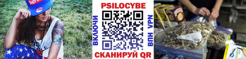 Купить  Кинель  Псилоцибиновые грибы мицелий 